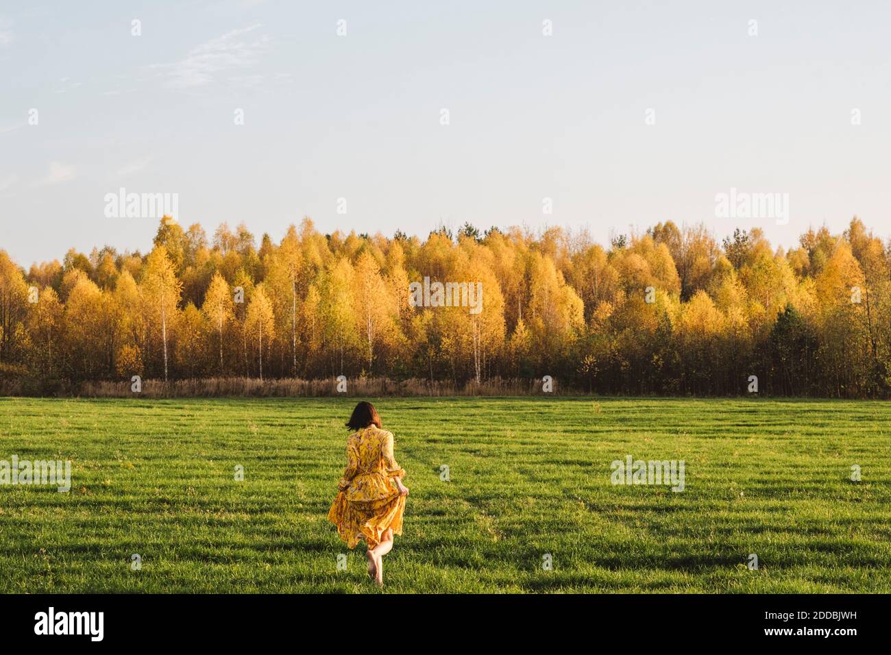 Donna mid adulta che cammina sull'erba nel campo autunnale giorno di sole Foto Stock