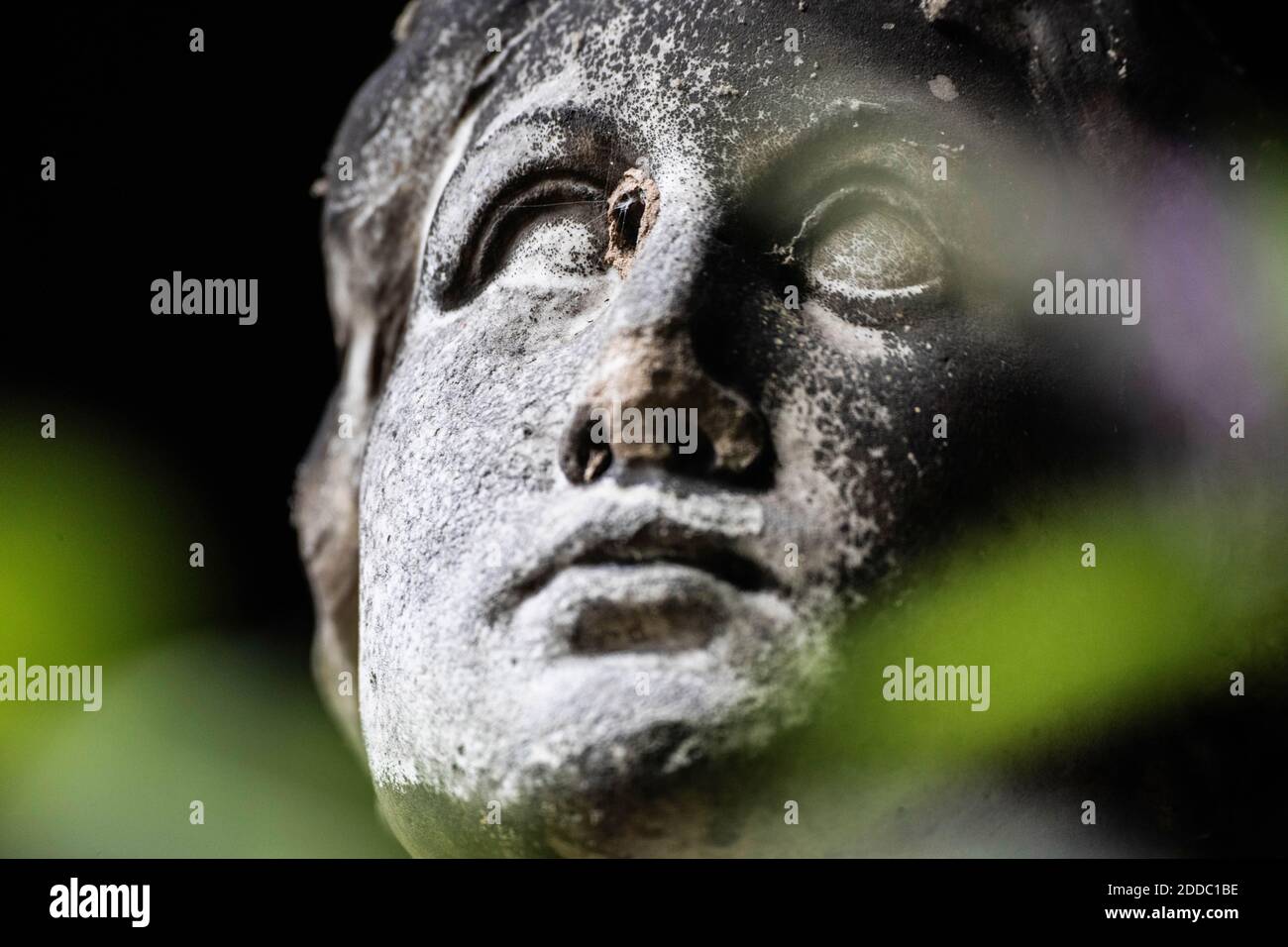 Volto di angelo di pietra Foto Stock