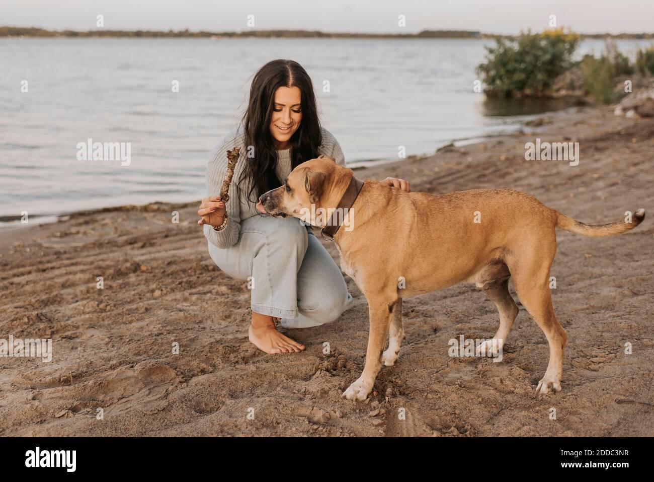 Donna che gioca con il cane mentre si accovacciano contro il lago durante il tramonto Foto Stock