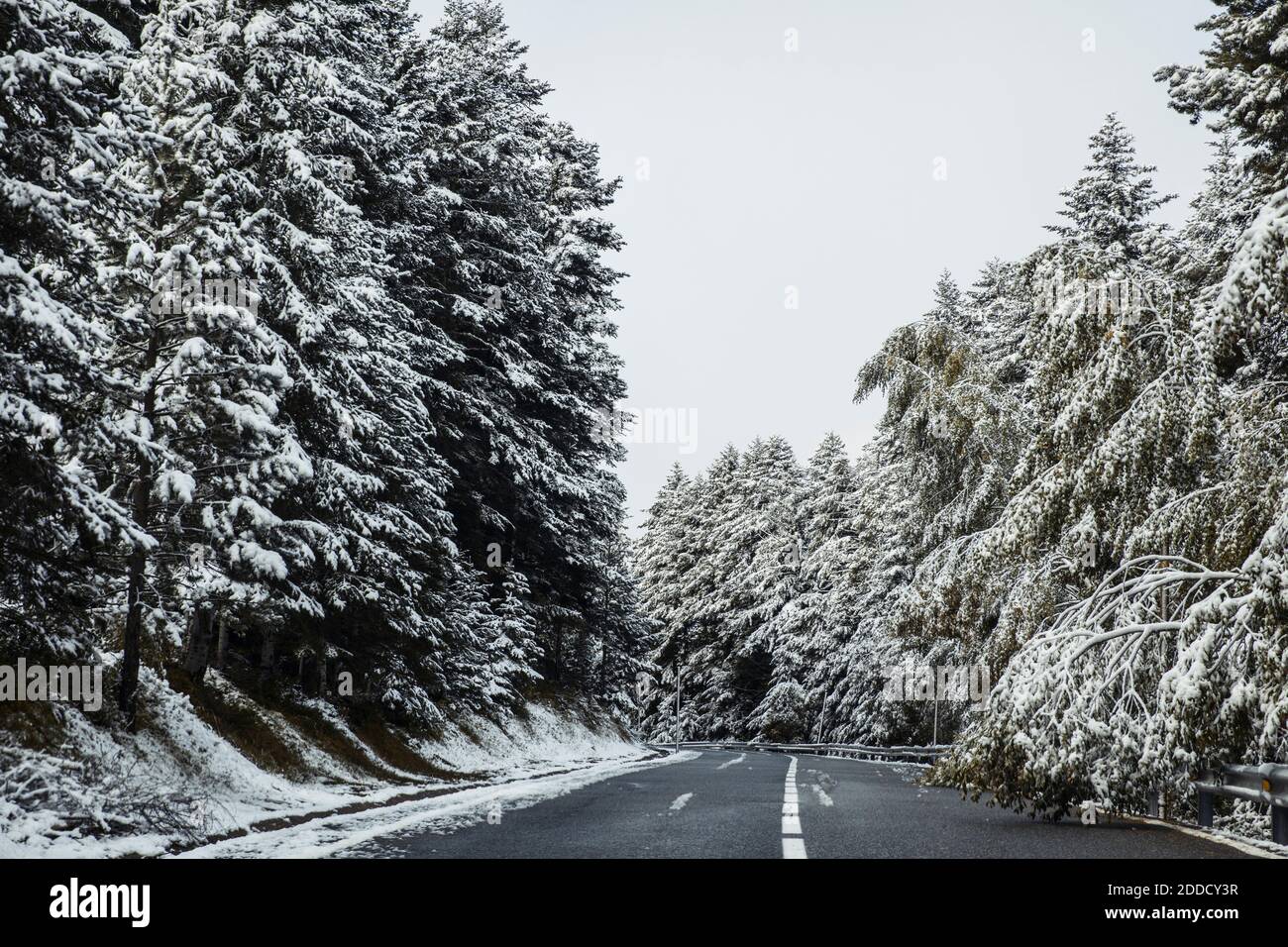 Vuota autostrada alpina in inverno Foto Stock