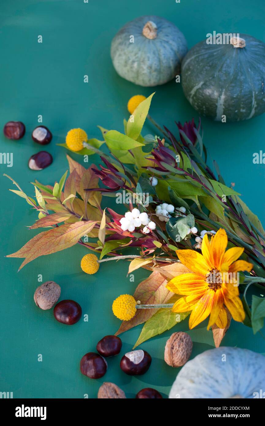Flora autunnale con noci, zucche e fiori Foto Stock