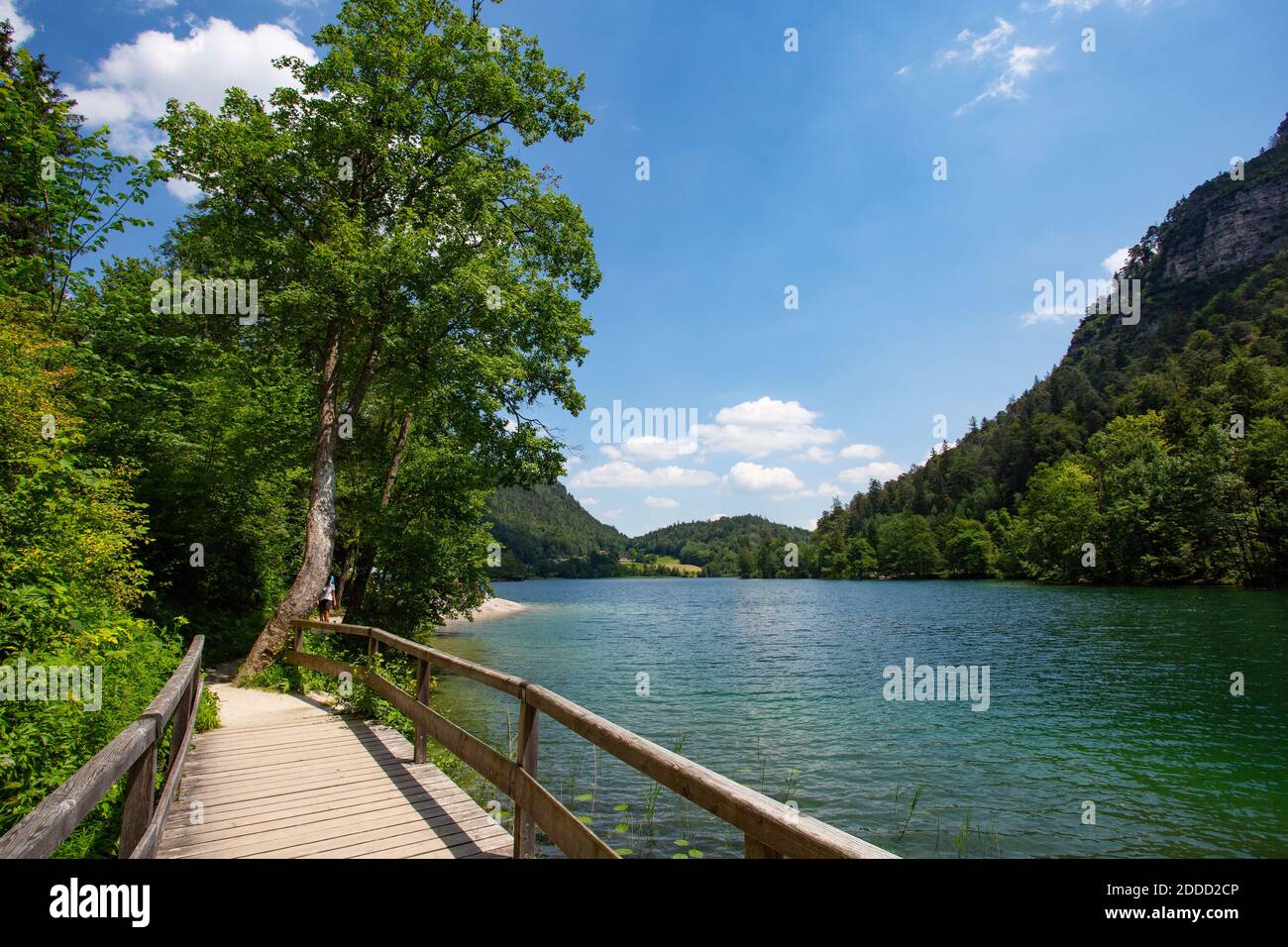 Germania, Baviera, Bad Reichenhall, piccolo ponte di legno sulla riva del lago Thumsee in estate Foto Stock