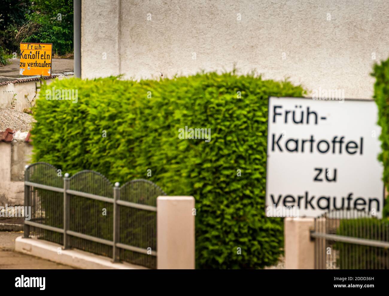 Le patate primaticce tedesche saranno disponibili a partire dall'inizio di giugno. I consumatori finali possono quindi acquistare le patate fresche direttamente dalla fattoria in sacchi da 5 chili a Ehekirchen, Germania Foto Stock