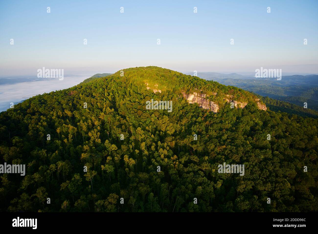 Veduta aerea della scogliera boscosa di Appalachia all'alba Foto Stock