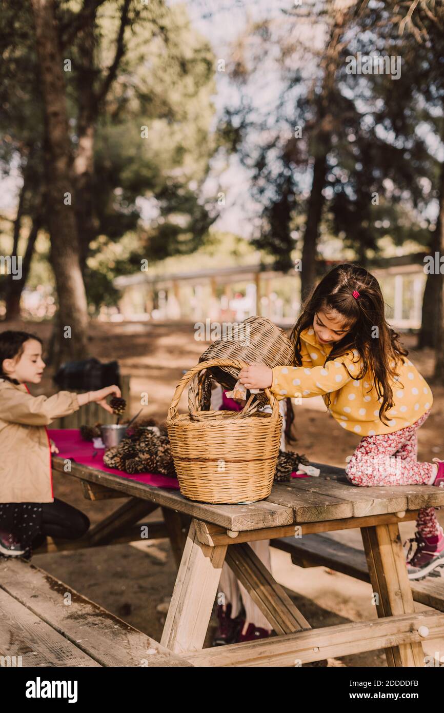 Ragazza che raccoglie cono di pino in cesti di vimini al tavolo da picnic Foto Stock
