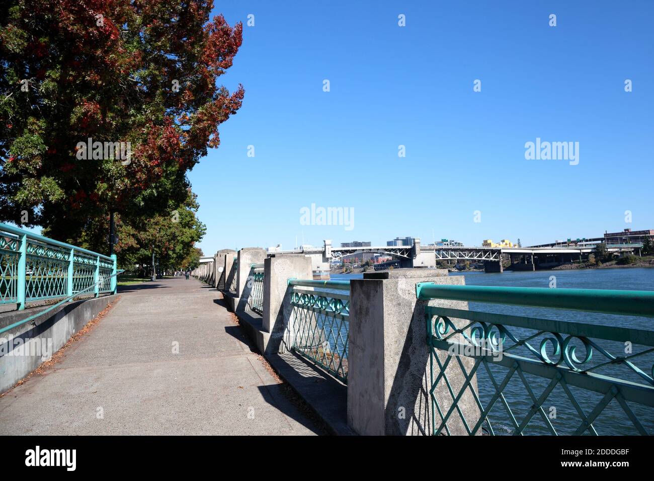 Portland, Oregon: Tom McCall Waterfront Park lungo il fiume Willamette con Morrison Bridge Foto Stock