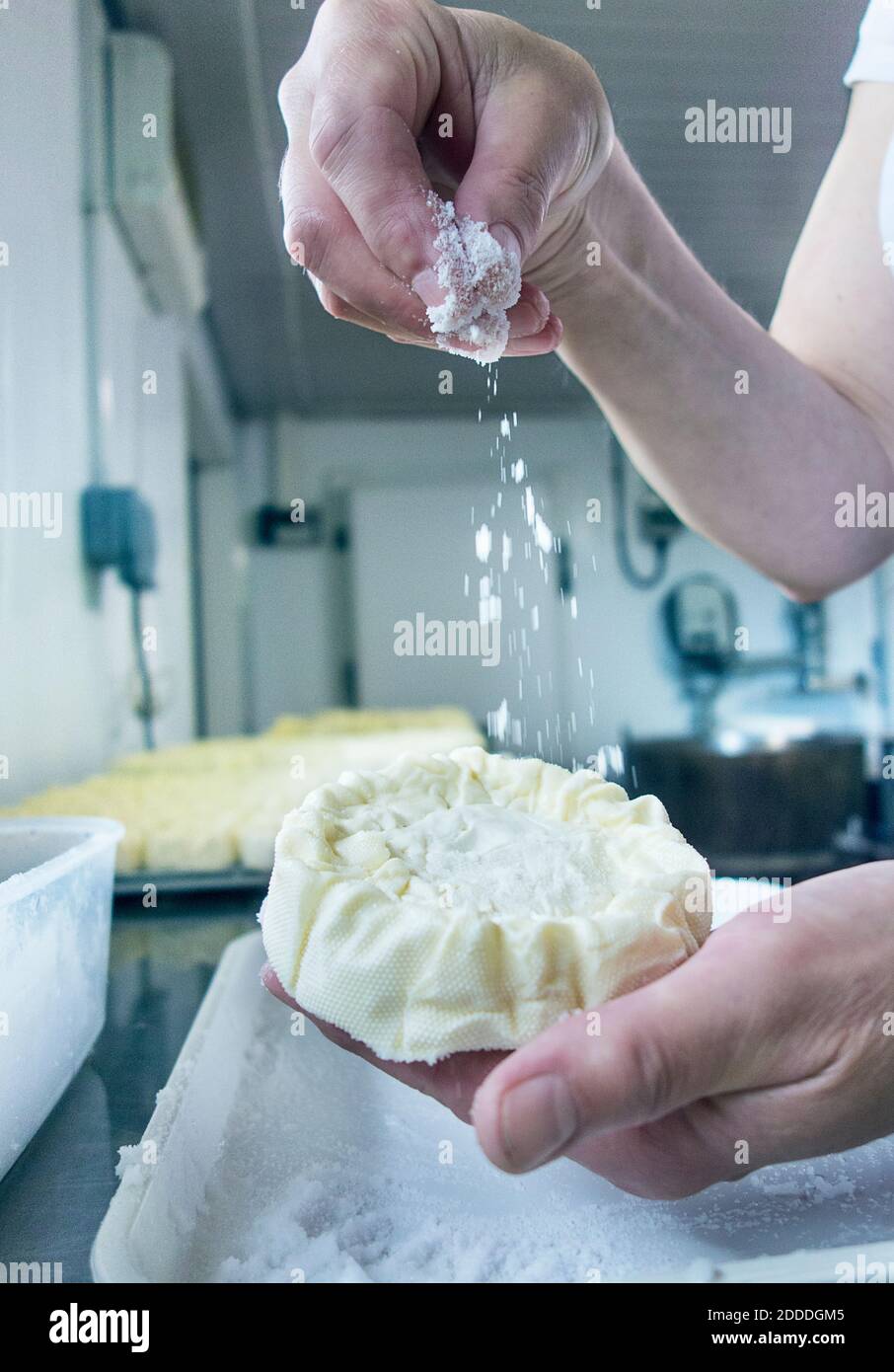 La mano della donna che spruzzava la farina sul formaggio al latte Foto Stock