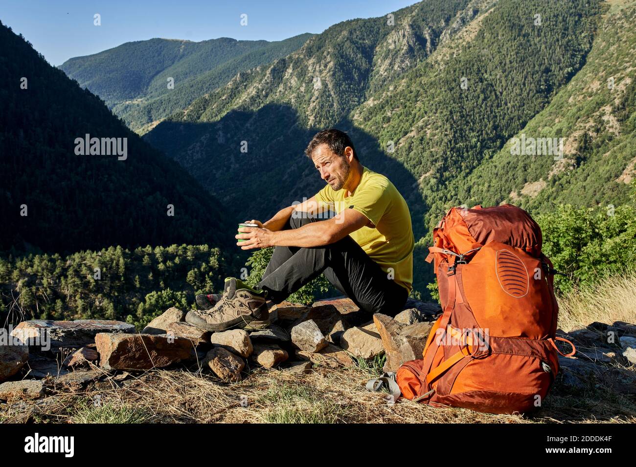 Uomo che guarda via mentre si siede sulla pietra che tiene la tazza di caffè in foresta durante il giorno di sole Foto Stock