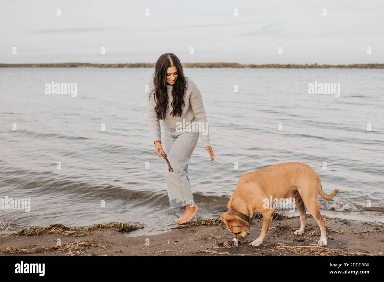 Donna che gioca con il cane mentre si sta in lago durante il tramonto Foto Stock