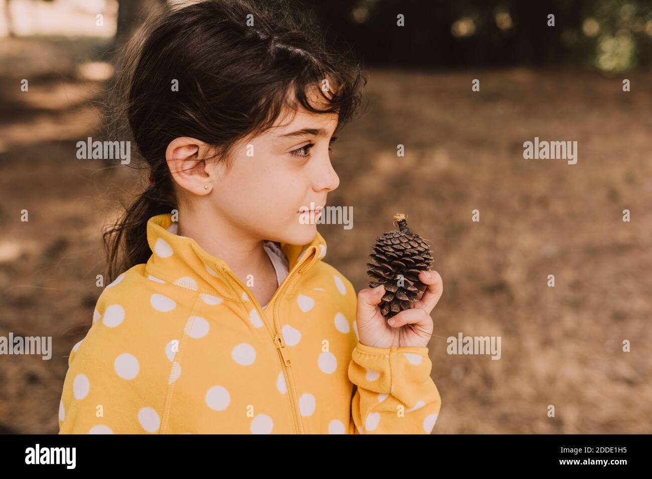 Carina ragazza che tiene cono di pino mentre si guarda via nel parco Foto Stock
