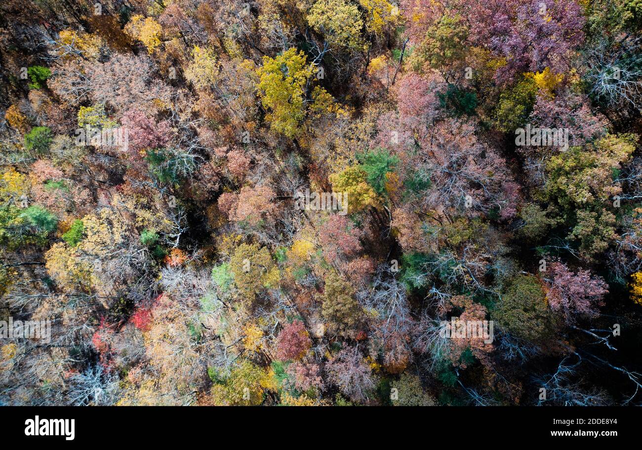 Vista aerea delle foreste nazionali di George Washington e Jefferson in autunno Foto Stock