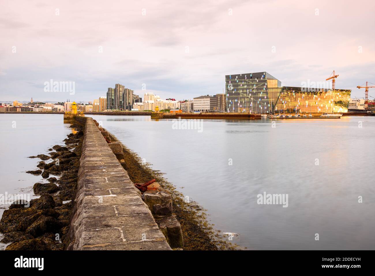 La sala concerti Harpa e il lungomare di Reykjavik sono illuminati calorosamente in estate sole di mezzanotte Foto Stock