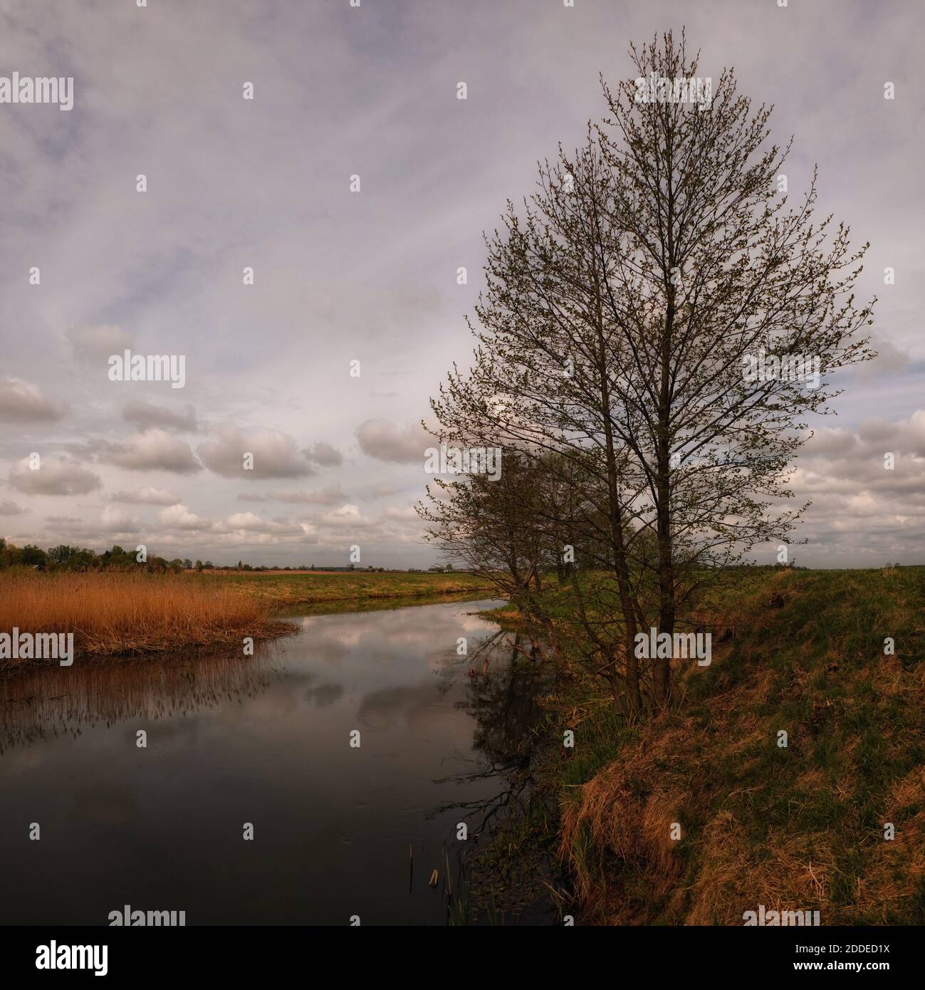 Fiume Isloch panoramico tra la natura in primavera Foto Stock