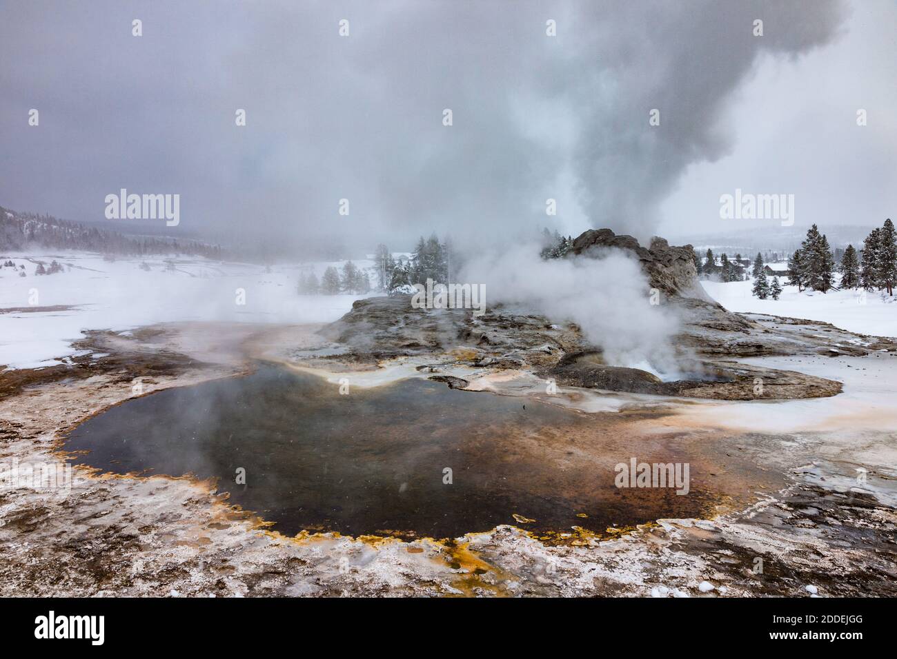 Tartaruga Shell Primavera gorgogliante e fumante di fronte al Castello Geyser nel Yellowstone National Park in inverno. Foto Stock