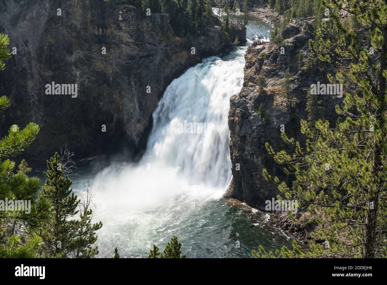 Le Upper Yellowstone Falls nel Grand Canyon del Yellowstone nel Yellowstone National Park, Wyoming, Stati Uniti. Foto Stock