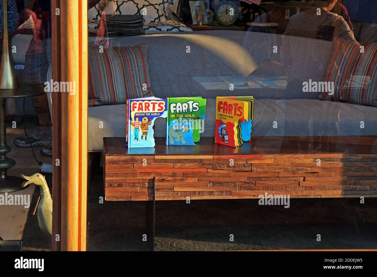 Vetrina con libri su freccette. Foto Stock