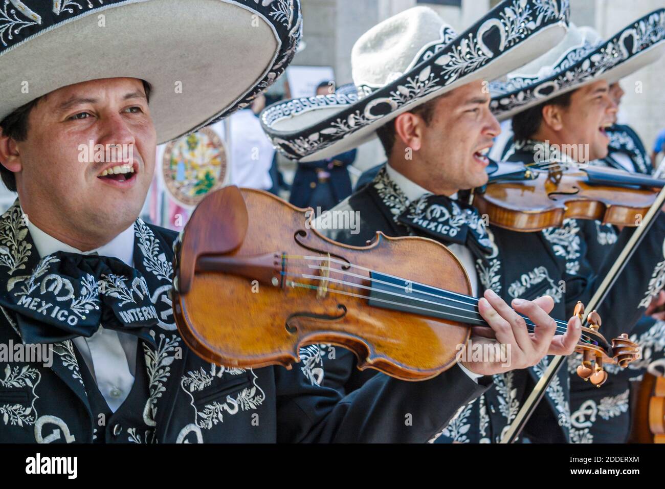 Miami Beach Florida,Collins Park Mexico Celebration Cinco de Mayo,musicisti mariachi suonano violini uomo ispanico vestito sombrero, Foto Stock
