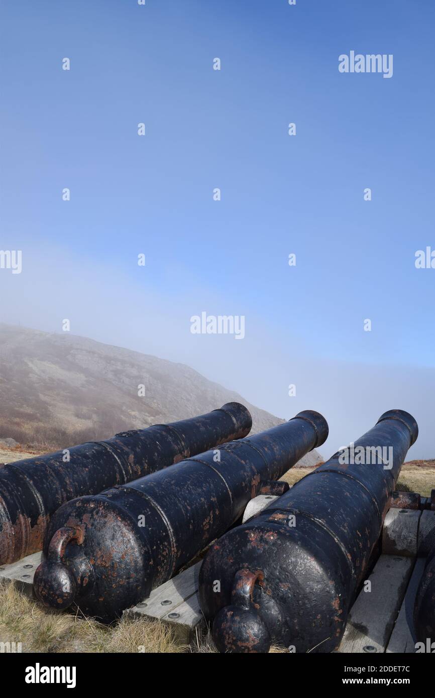 Vecchi cannoni a Signal Hill, Terranova e Labrador Foto Stock