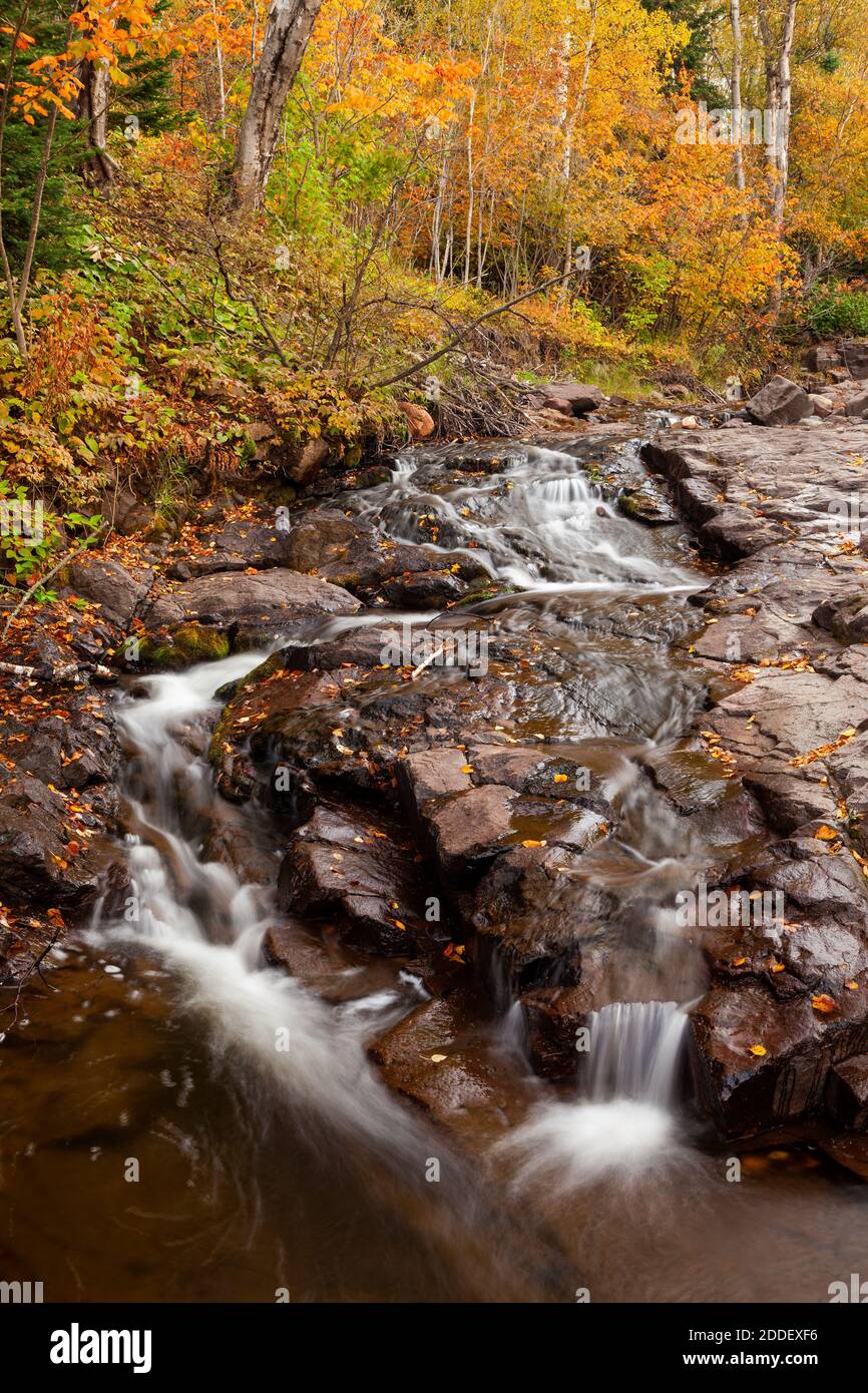 Durfee Creek in autunno, Cook County, Minnesota Foto Stock