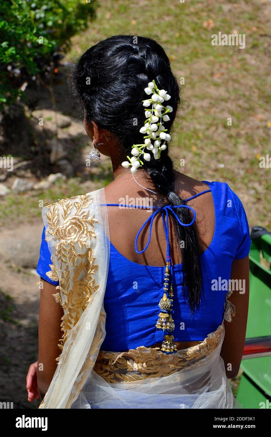 Vista posteriore di una bella treccia di capelli neri adornata con fiori di gelsomino bianco come indossato da una giovane ragazza indiana in un sari blu e oro. Foto Stock