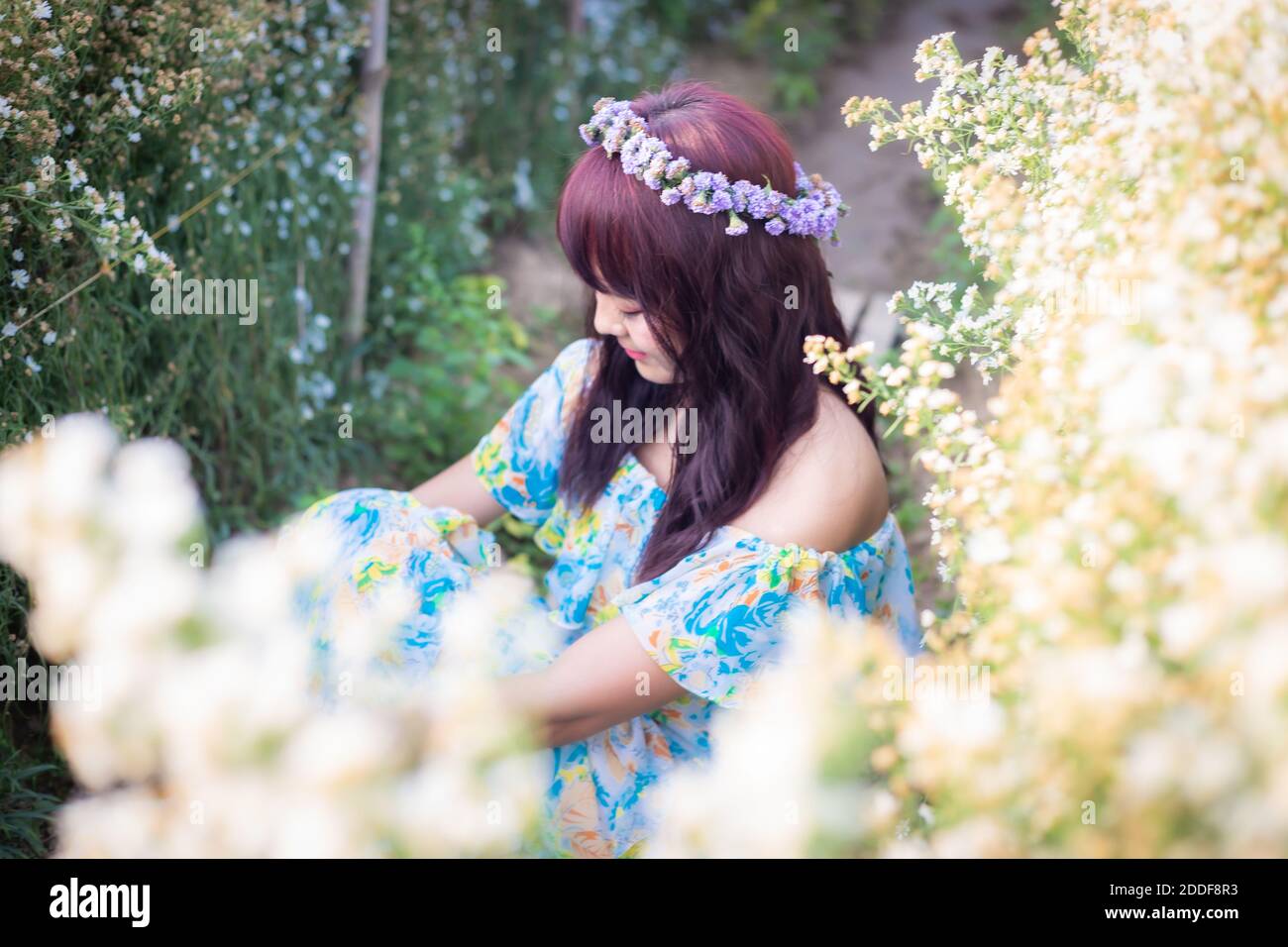 Donna asiatica felice in abito floreale sedersi nel campo Margaret Aster fiori. Viaggio invernale relax vacanza concetto a Chiang mai, Thailandia. Messa a fuoco morbida Foto Stock