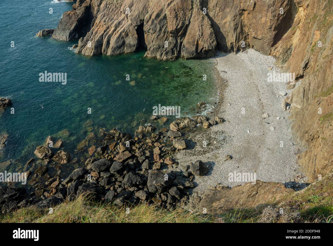 Insenatura riparata vicino Martinshaven con le foche grigie riproduttrici, il grypus di Halichoerus, il parco nazionale della costa di Pembrokeshire. Galles. Foto Stock