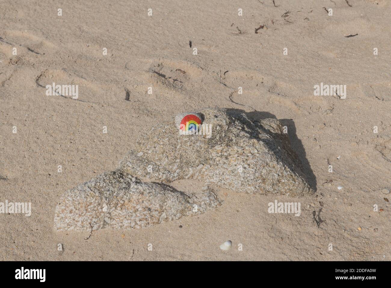 Arcobaleno dipinto a mano su un Pebble su un Faggio a. Festeggia il lavoro degli infermieri e dei dottori NHS durante Coronavirus pandemico nelle isole di Scilly Foto Stock