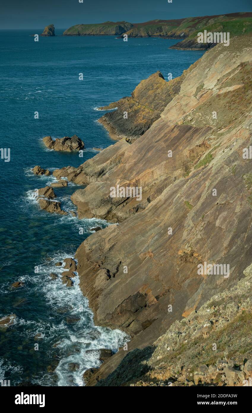 Guardando da vicino Martinshaven attraverso Skomer Island, Pembrokeshire Coast National Park, Galles. Foto Stock