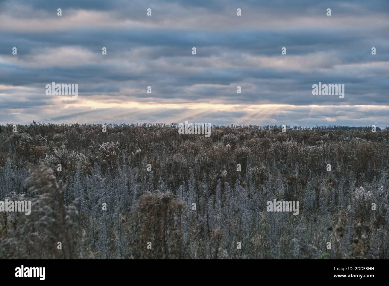 Bel cielo tempestoso e pesante con nuvole e raggi solari. Bel prato Foto Stock