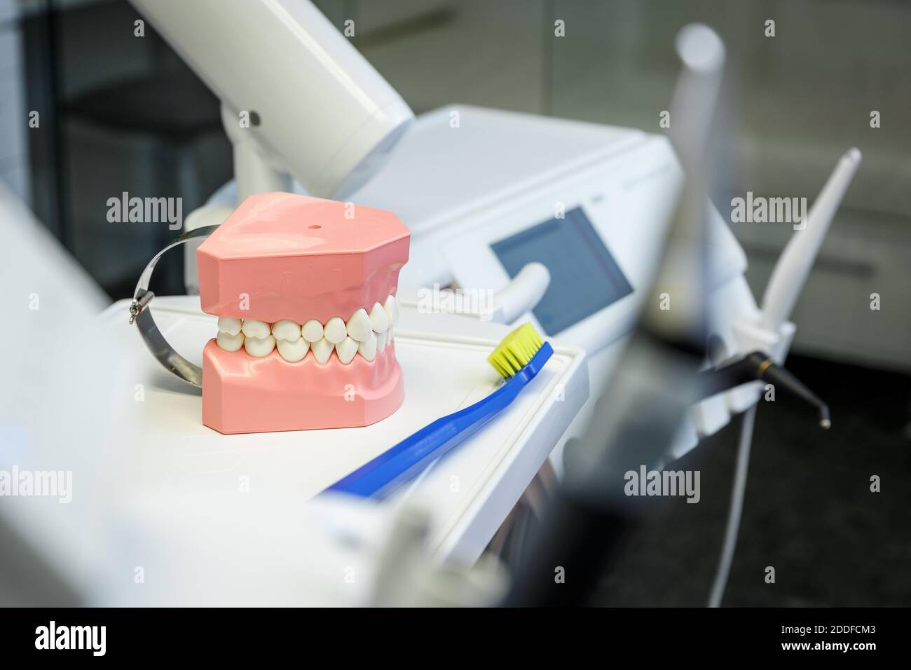 Modello di una mascella umana e di uno spazzolino da denti in un ufficio odontoiatrico. Concetto di salute e odontoiatria Foto Stock