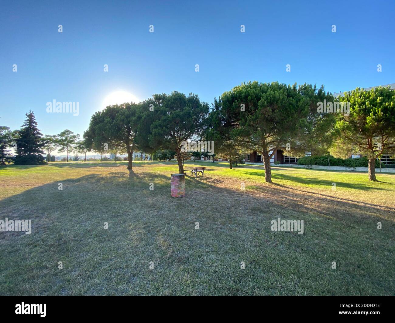 Parco verde con alberi e panca al bellissimo tramonto, architettura moderna alla fine. Ombre degli alberi che cadono su un'erba luminosa tagliata. Foto Stock