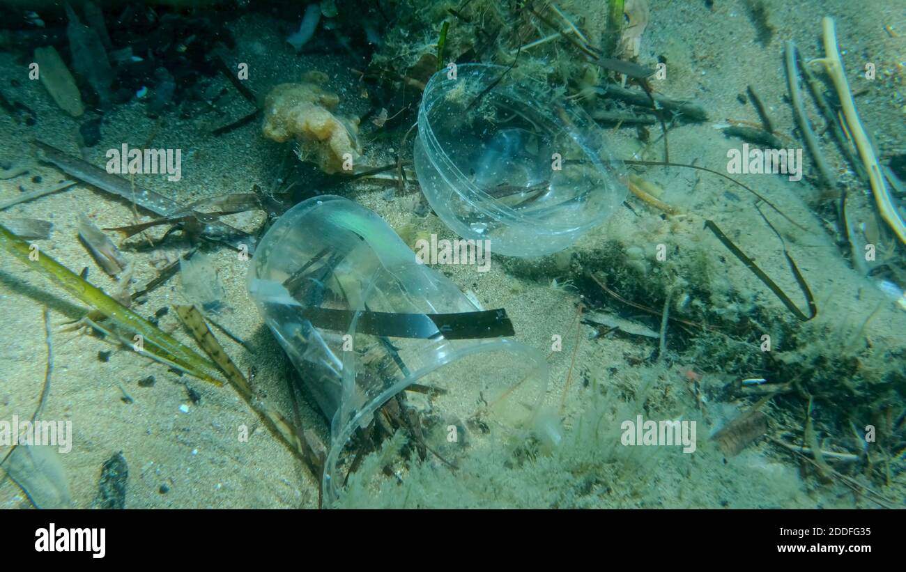 Il primo piano della tazza da cocktail in plastica si trova sul fondo del mare. Detriti di plastica nell'acqua uccidendo gli animali. Inquinamento plastico nel Mare Adriatico. Pollutio di plastica Foto Stock