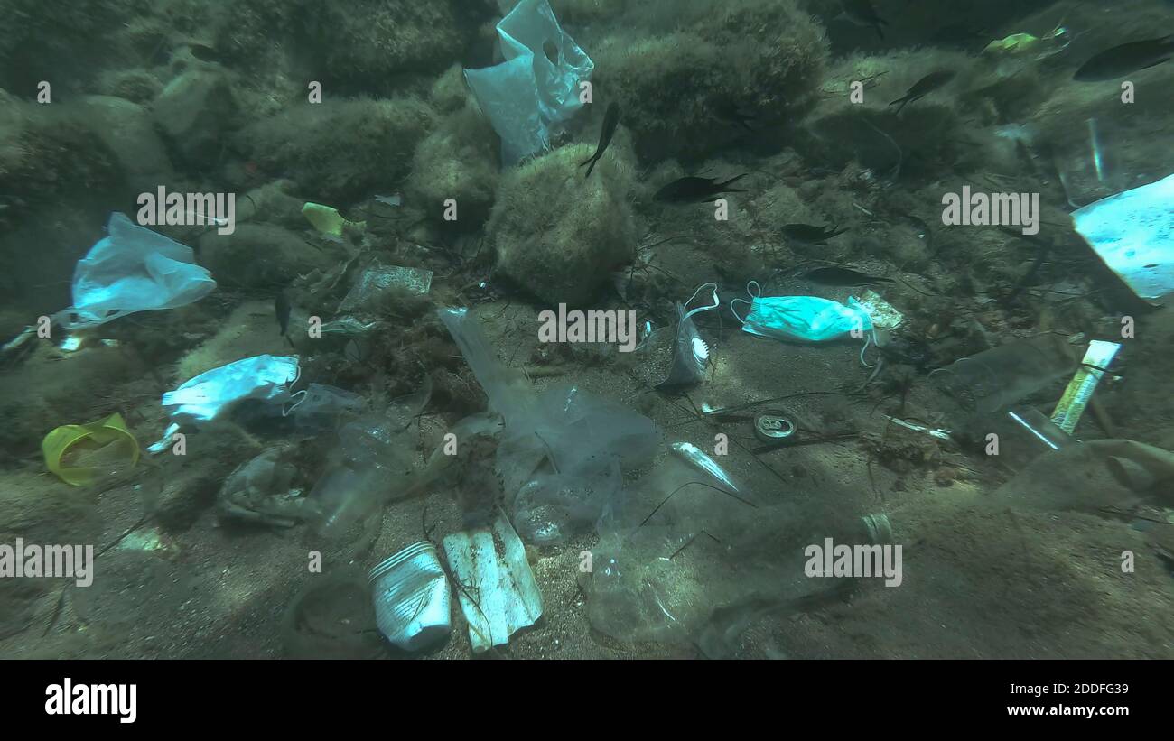 Morto più grande pesce di svezzamento (Trachinus draco) colpire intrappolato in sacchetto di plastica si trova all'interno del sacchetto di plastica sul fondo marino tra la maschera medica viso, plastica A. Foto Stock