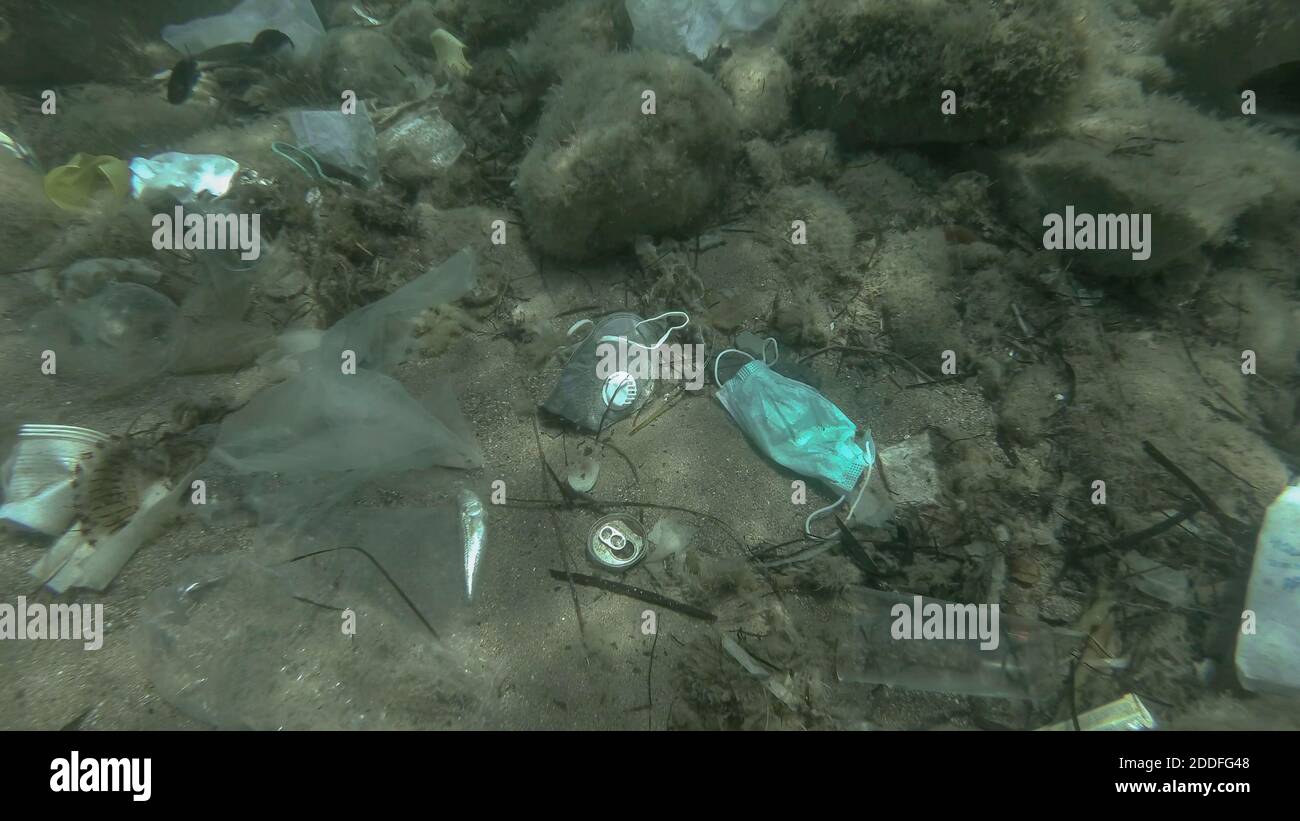 Morto più grande pesce di svezzamento (Trachinus draco) colpire intrappolato in sacchetto di plastica si trova all'interno del sacchetto di plastica sul fondo marino tra la maschera medica viso, plastica A. Foto Stock