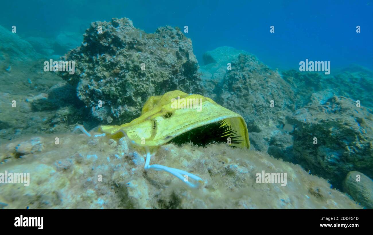 La maschera medica gialla usata si trova su ricci di mare in fondale roccioso. Coronavirus COVID-19 contribuisce all'inquinamento, come scartato usato maschere disordine Foto Stock