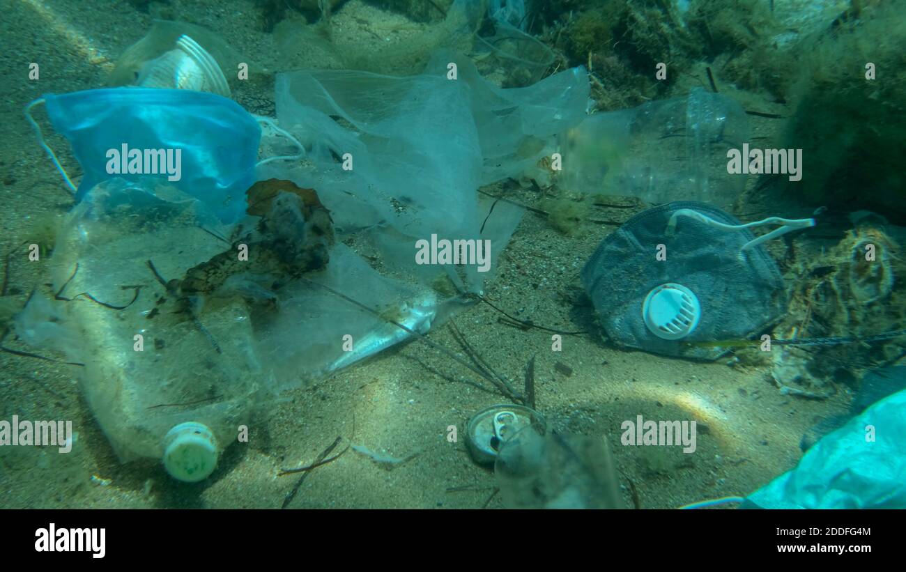 Morto più grande pesce di svezzamento (Trachinus draco) colpire intrappolato in sacchetto di plastica si trova all'interno del sacchetto di plastica sul fondo marino tra la maschera medica viso, plastica A. Foto Stock