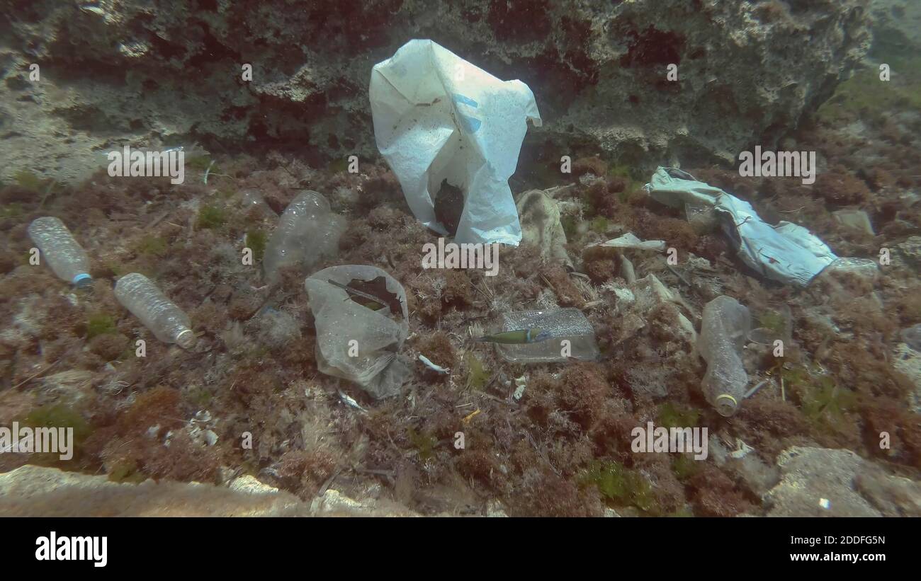 Massiccio inquinamento plastico del fondo oceanico. Fondo marino coperto con un sacco di rifiuti di plastica. Bottiglie, sacchetti e altri detriti di plastica sul fondo marino di Medit Foto Stock