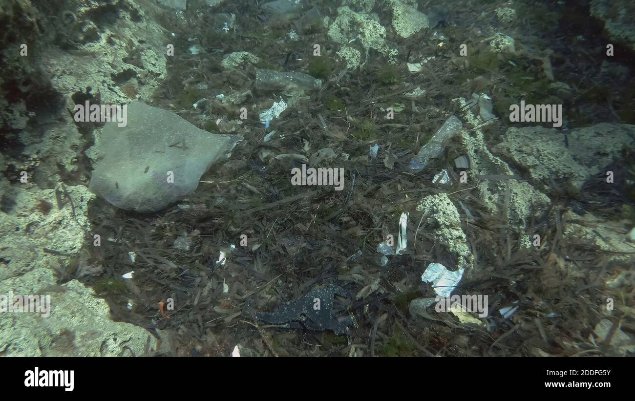 Massiccio inquinamento plastico del fondo oceanico. Fondo marino coperto con un sacco di rifiuti di plastica. Bottiglie, sacchetti e altri detriti di plastica sul fondo marino di Medit Foto Stock