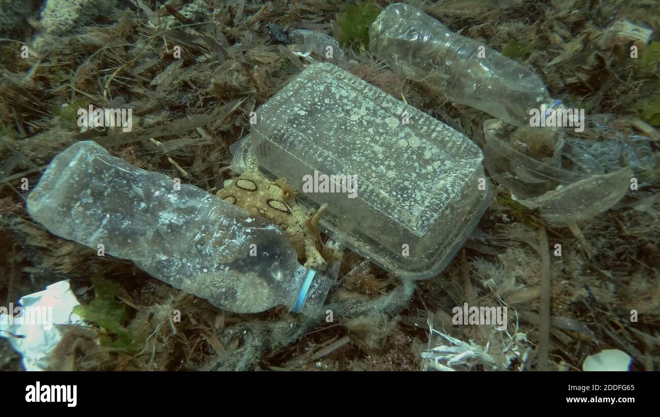 Massiccio inquinamento plastico del fondo oceanico. Fondo marino coperto con un sacco di rifiuti di plastica. Bottiglie, sacchetti e altri detriti di plastica sul fondo marino di Medit Foto Stock