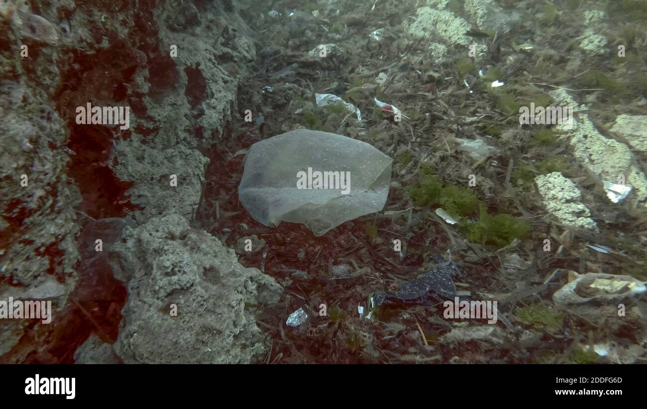Massiccio inquinamento plastico del fondo oceanico. Fondo marino coperto con un sacco di rifiuti di plastica. Bottiglie, sacchetti e altri detriti di plastica sul fondo marino di Medit Foto Stock