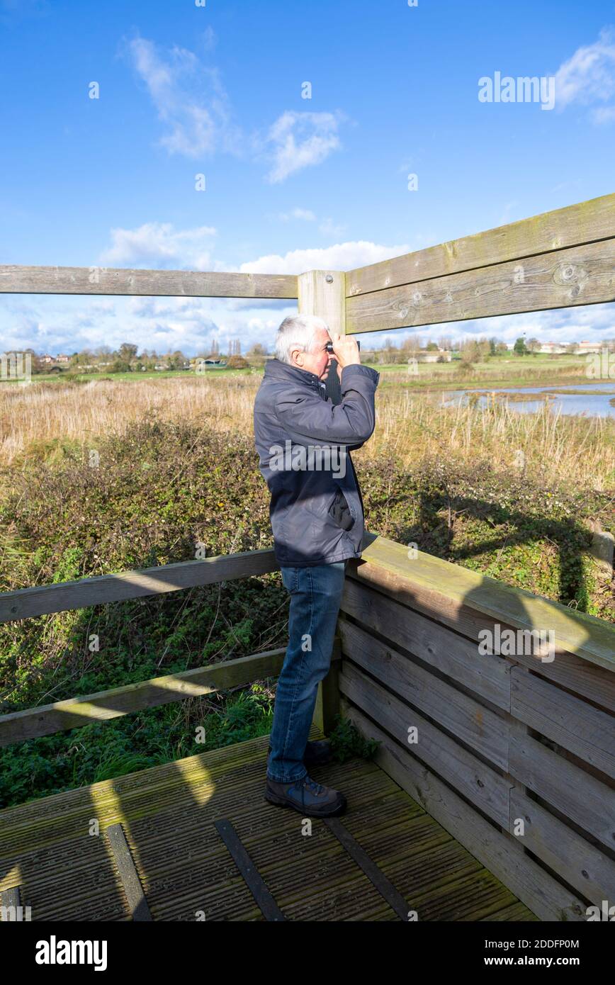 Ornitologo maschile birdwatcher utilizzando binocoli si nascondono a RSPB Hollesley Marshes, Suffolk, Inghilterra, UK Foto Stock