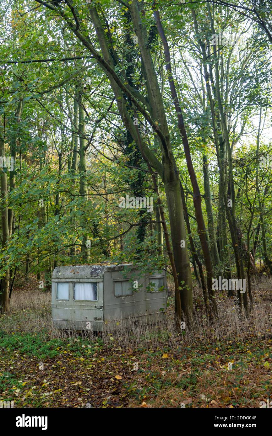 Vecchia carovana nascosta sotto gli alberi nel bosco, Suffolk, Inghilterra, Regno Unito Foto Stock