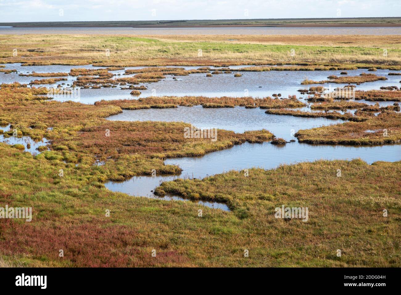Piscine d'acqua in saltalee palude di sale dal fiume ore con Orford Ness Beyond, Suffolk, Inghilterra, UK Foto Stock