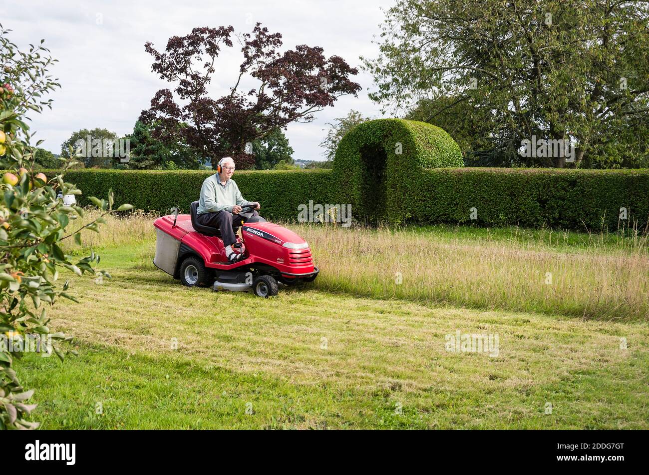 Riducendo progressivamente l'altezza di un prato di fiori selvatici a. La fine dell'estate in un giardino inglese nel Regno Unito Foto Stock