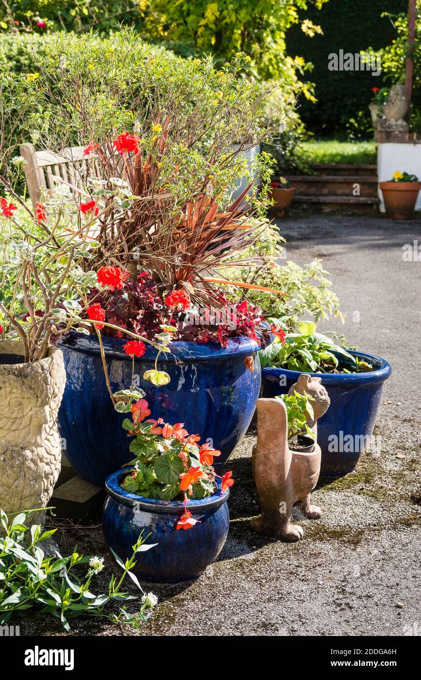 Una collezione informale di piantatrici in fiore in un giardino anteriore Nel Regno Unito Foto Stock