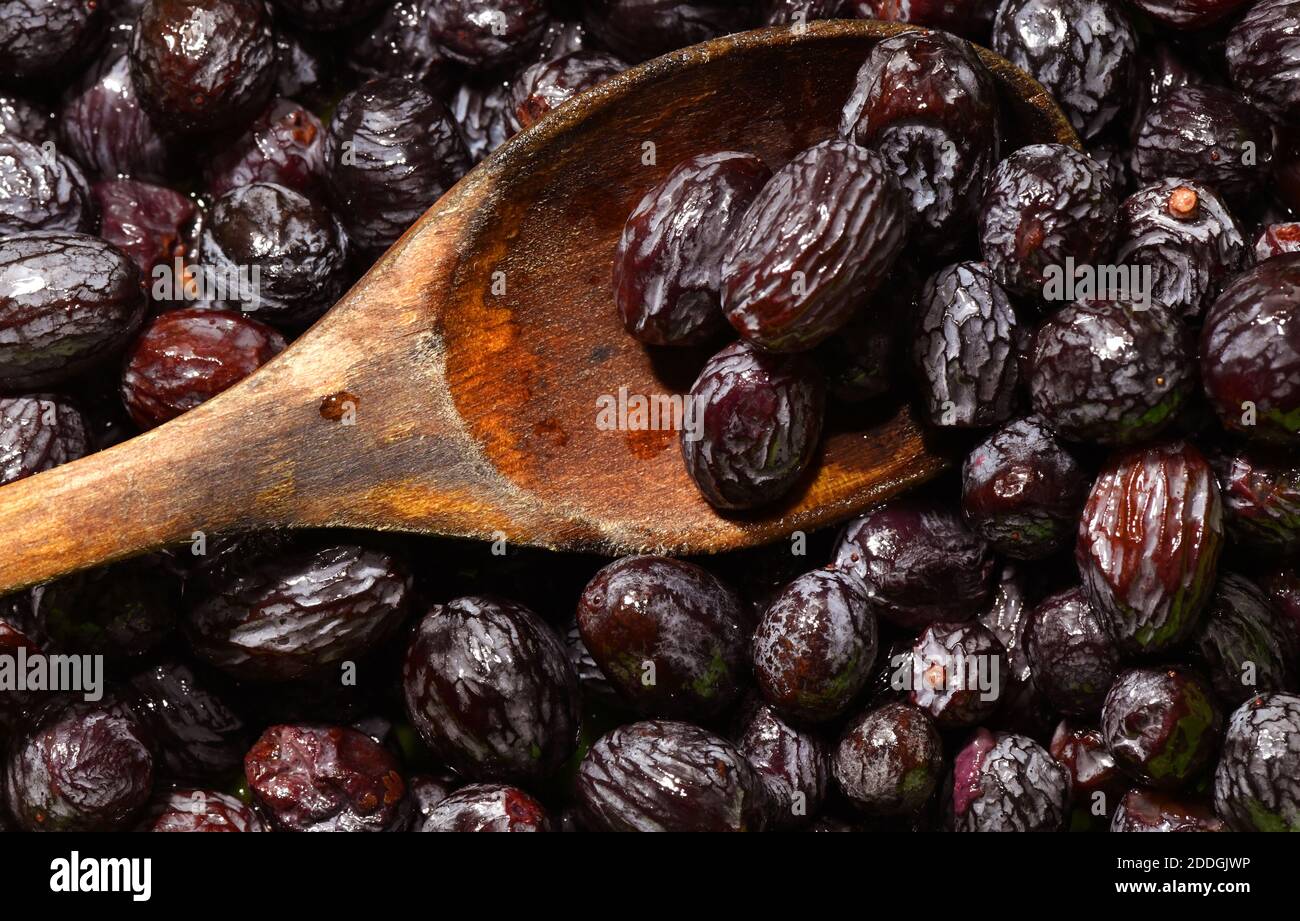 Il raisin nero imbevuto noto per il suo gusto zuccherino e il sapore succoso, l'uva passa nera, il Kishmish (uva secca) sono prodotti asciugando le uve senza semi di Corinto. Foto Stock