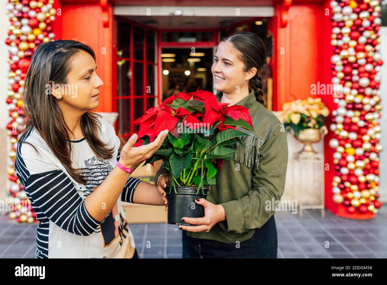 Donna in piedi fuori negozio con una donna cliente alla porta rossa con baubles decorativi di natale che tengono pentola di fiore di poinsettia dentro luce del giorno Foto Stock