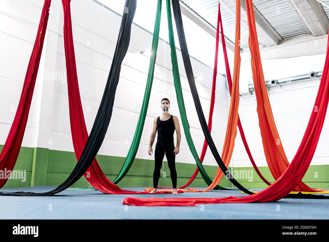 Ginnastica maschile a corpo pieno guardando i nastri colorati durante l'aereo prova di danza in uno spazioso studio Foto Stock