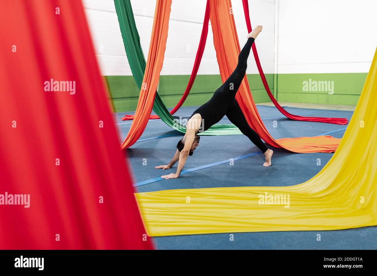 Vista laterale della ginnastica maschile a piedi nudi in posizione inclinata di leotard nera sul pavimento e sollevando la gamba vicino a pezzi colorati di stoffa durante le prove di danza aerea Foto Stock