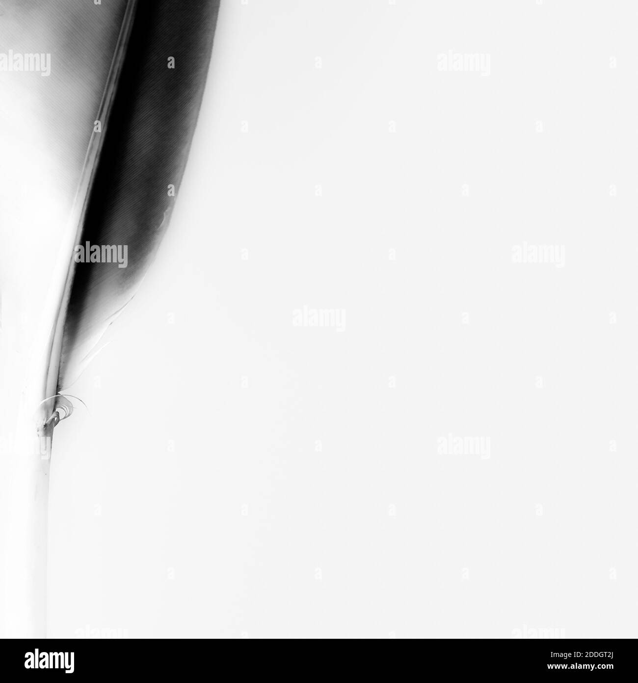 Illuminazione da studio Foto Stock